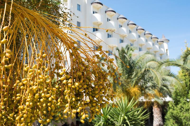 Alinn Boutique Sarigerme (Adults Only) Exterior foto